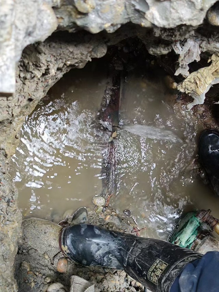扶余本地服务：小区水管漏水检测维修